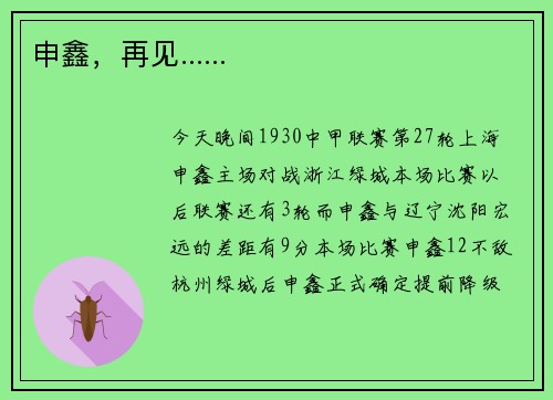 申鑫，再见......