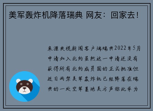 美军轰炸机降落瑞典 网友：回家去！
